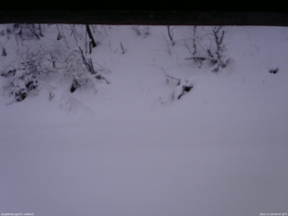 長野県菅平高原 ゆたか山荘 南側 2025/12/18 06:45