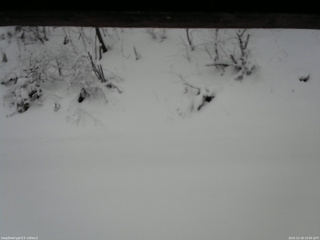 長野県菅平高原 ゆたか山荘 南側 2025/12/18 10:00