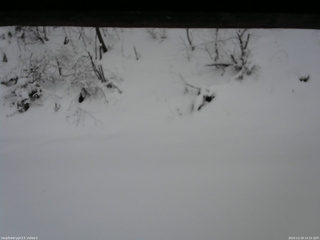 長野県菅平高原 ゆたか山荘 南側 2025/12/18 14:15