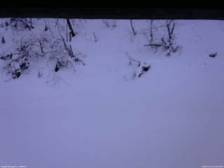 長野県菅平高原 ゆたか山荘 南側 2025/12/19 15:00