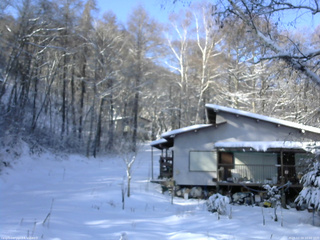 長野県菅平高原 ゆたか山荘 西側(坂上) 2025/12/19 10:00