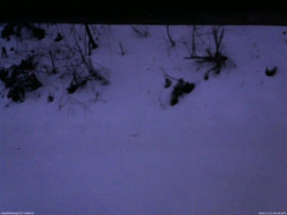 長野県菅平高原 ゆたか山荘 南側 2025/12/21 06:30