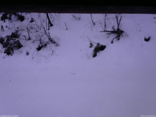 長野県菅平高原 ゆたか山荘 南側 2025/12/21 06:45