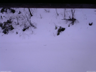 長野県菅平高原 ゆたか山荘 南側 2025/12/21 07:00