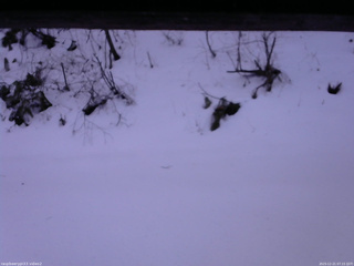 長野県菅平高原 ゆたか山荘 南側 2025/12/21 07:15