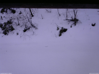 長野県菅平高原 ゆたか山荘 南側 2025/12/21 07:30