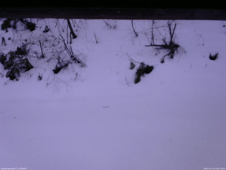 長野県菅平高原 ゆたか山荘 南側 2025/12/21 08:15