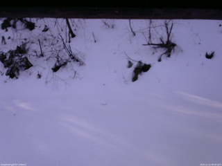 長野県菅平高原 ゆたか山荘 南側 2025/12/21 08:30