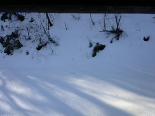 長野県菅平高原 ゆたか山荘 南側 2025/12/21 08:45