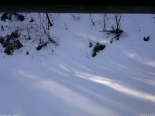 長野県菅平高原 ゆたか山荘 南側 2025/12/21 09:00