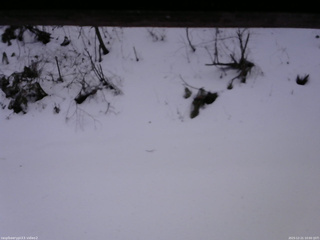 長野県菅平高原 ゆたか山荘 南側 2025/12/21 10:00