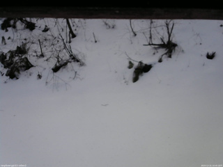 長野県菅平高原 ゆたか山荘 南側 2025/12/21 10:45