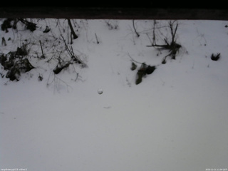 長野県菅平高原 ゆたか山荘 南側 2025/12/21 11:00