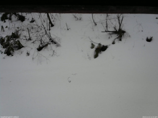 長野県菅平高原 ゆたか山荘 南側 2025/12/21 11:15