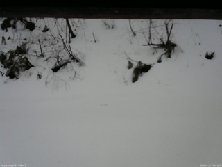 長野県菅平高原 ゆたか山荘 南側 2025/12/21 11:30