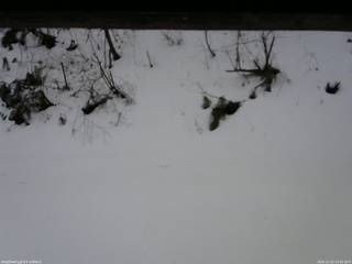 長野県菅平高原 ゆたか山荘 南側 2025/12/21 11:45