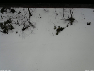 長野県菅平高原 ゆたか山荘 南側 2025/12/21 12:00