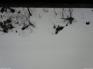 長野県菅平高原 ゆたか山荘 南側 2025/12/21 12:15