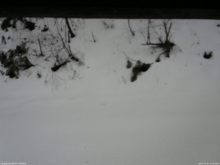 長野県菅平高原 ゆたか山荘 南側 2025/12/21 12:30