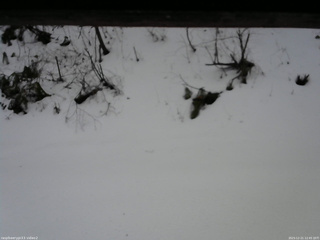 長野県菅平高原 ゆたか山荘 南側 2025/12/21 12:45