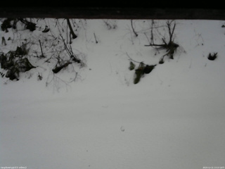 長野県菅平高原 ゆたか山荘 南側 2025/12/21 13:15