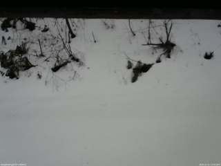 長野県菅平高原 ゆたか山荘 南側 2025/12/21 13:45