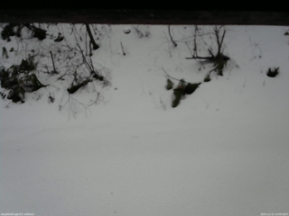 長野県菅平高原 ゆたか山荘 南側 2025/12/21 14:00