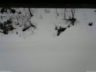 長野県菅平高原 ゆたか山荘 南側 2025/12/21 14:30