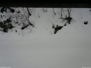 長野県菅平高原 ゆたか山荘 南側 2025/12/21 14:45