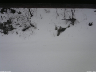 長野県菅平高原 ゆたか山荘 南側 2025/12/21 15:15