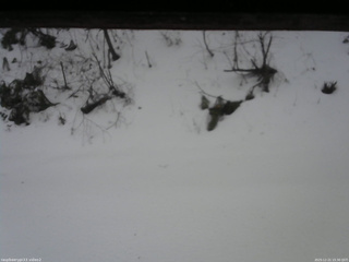 長野県菅平高原 ゆたか山荘 南側 2025/12/21 15:30