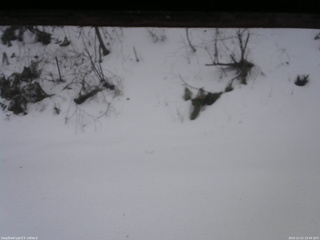 長野県菅平高原 ゆたか山荘 南側 2025/12/21 15:45