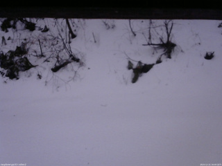 長野県菅平高原 ゆたか山荘 南側 2025/12/21 16:00