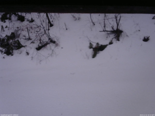 長野県菅平高原 ゆたか山荘 南側 2025/12/21 16:15