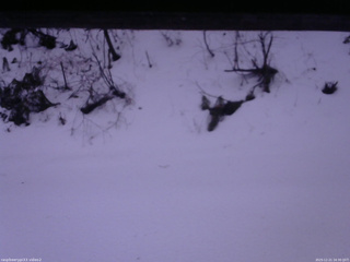 長野県菅平高原 ゆたか山荘 南側 2025/12/21 16:30