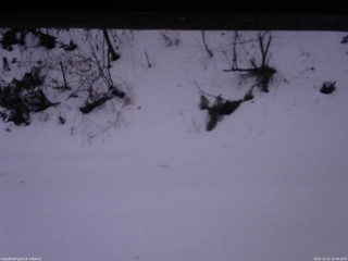 長野県菅平高原 ゆたか山荘 南側 2025/12/21 16:45