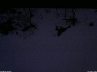 長野県菅平高原 ゆたか山荘 南側 2025/12/21 17:00