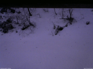 長野県菅平高原 ゆたか山荘 南側 2025/12/23 06:30