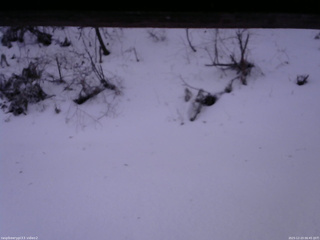 長野県菅平高原 ゆたか山荘 南側 2025/12/23 06:45