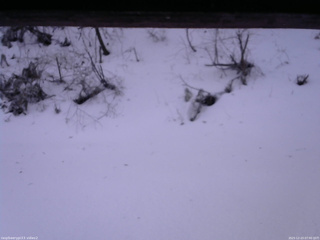 長野県菅平高原 ゆたか山荘 南側 2025/12/23 07:00