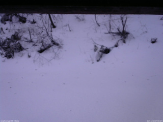 長野県菅平高原 ゆたか山荘 南側 2025/12/23 07:30