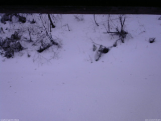 長野県菅平高原 ゆたか山荘 南側 2025/12/23 07:45