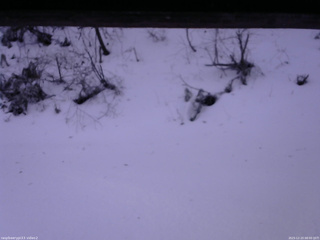 長野県菅平高原 ゆたか山荘 南側 2025/12/23 08:00