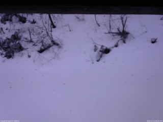 長野県菅平高原 ゆたか山荘 南側 2025/12/23 08:15