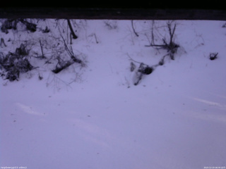 長野県菅平高原 ゆたか山荘 南側 2025/12/23 08:30