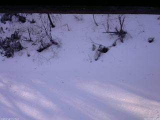 長野県菅平高原 ゆたか山荘 南側 2025/12/23 08:45