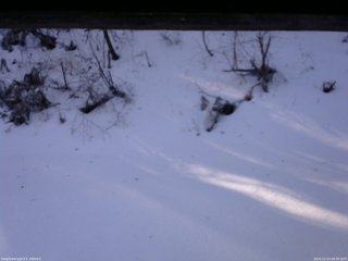 長野県菅平高原 ゆたか山荘 南側 2025/12/23 09:00