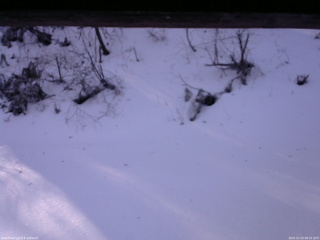 長野県菅平高原 ゆたか山荘 南側 2025/12/23 09:15