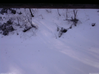 長野県菅平高原 ゆたか山荘 南側 2025/12/23 09:30