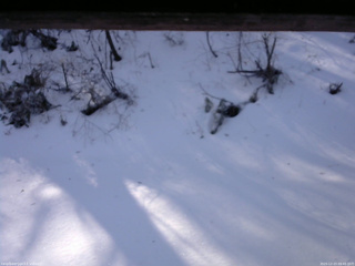 長野県菅平高原 ゆたか山荘 南側 2025/12/23 09:45